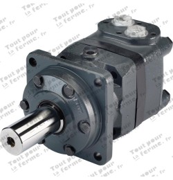 Moteur hydraulique OMT 500
