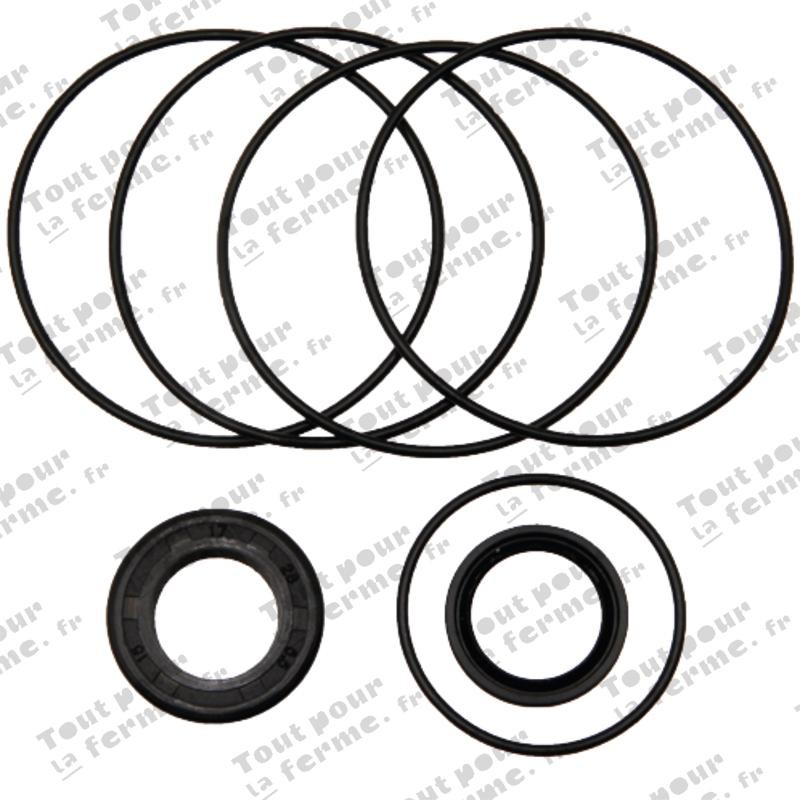 Bague d'étanchéité pour moteur OMP 32 HP