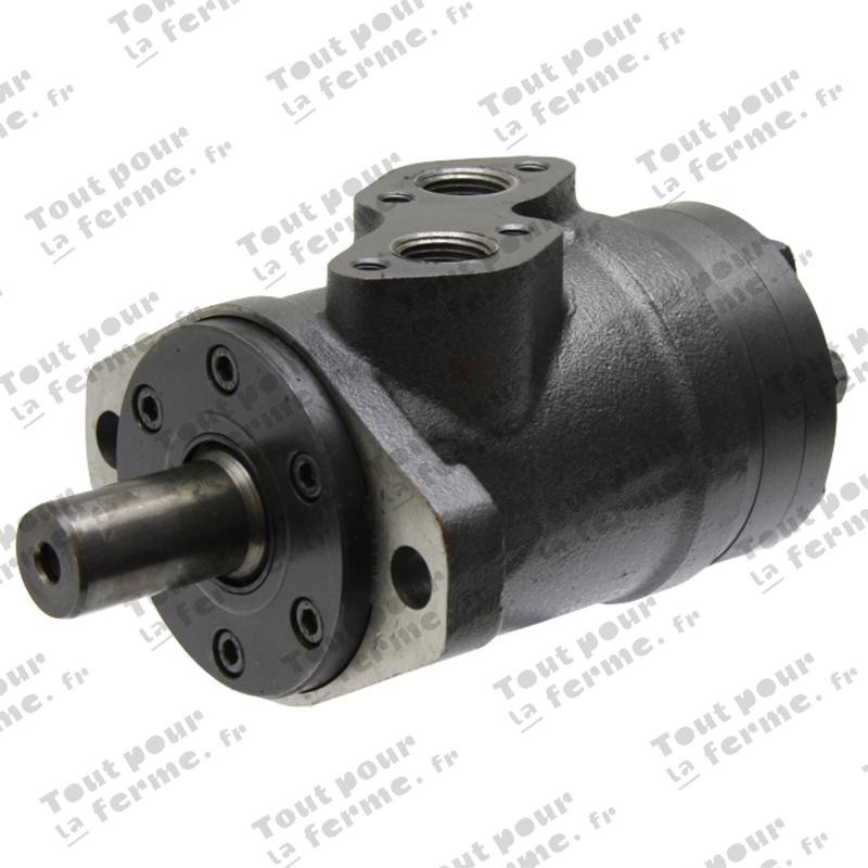 Moteur hydraulique OMP-X 250 cm³ Ø : 1" / A2
