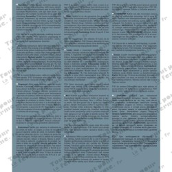 Additif pour huile moteur 950 ml