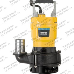 Pompe à moteur submersible