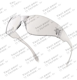 Lunettes de protection