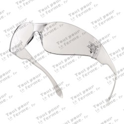 Lunettes de protection