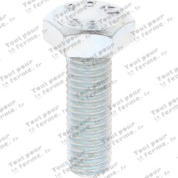 Vis à tête hexagonale M10x30 DIN 933