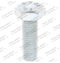 Vis à tête hexagonale M10x30 DIN 933