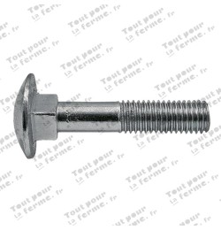 Boulon Japy M10x30 DIN 603
