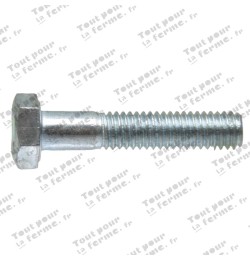 Vis à tête hexagonale M10x60 DIN 931