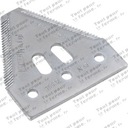 Section