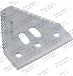 Section