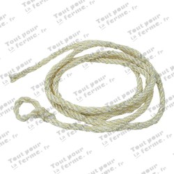 Corde