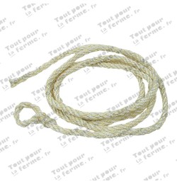 Corde