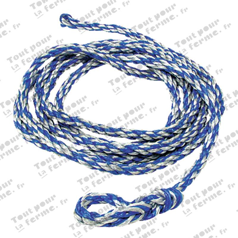 Corde