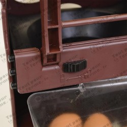 Nid de ponte