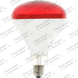 Ampoule infrarouge