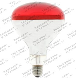 Ampoule infrarouge