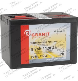 Pile alcaline