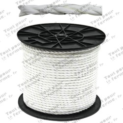 Corde électrique