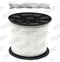 Corde électrique