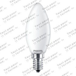 Ampoule LED E14