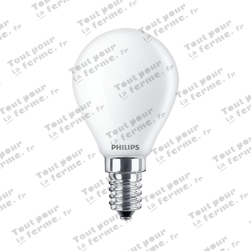 Ampoule LED E14