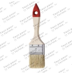 Pinceau pour vernis, plat