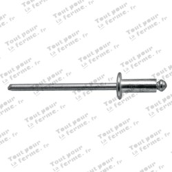 Rivet aveugle