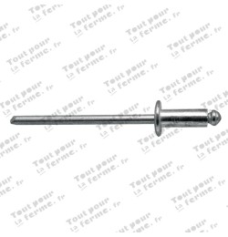 Rivet aveugle