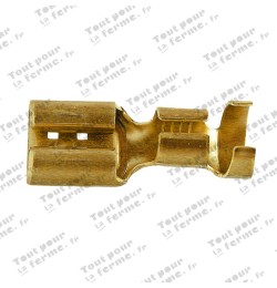 Fiche plate, en laiton brillant, 6,3 mm