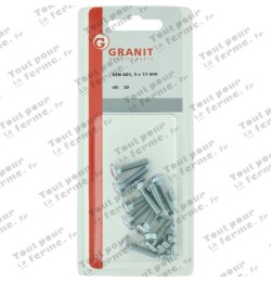 Boulon Japy M5x25 DIN 603