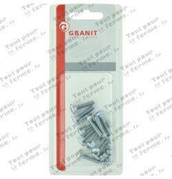 Boulon Japy M6x40 DIN 603