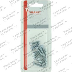 Boulon Japy M6x30 DIN 603