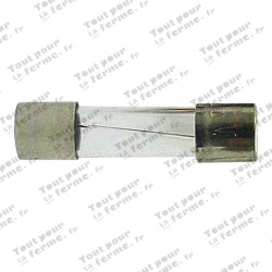 Fusible en verre