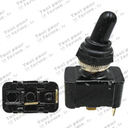 Interrupteur à bascule