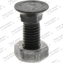Boulon de charrue M10x30-10.9