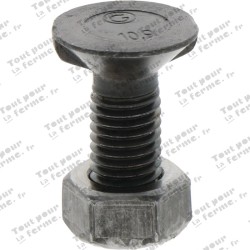 Boulon de charrue M12x35-10.9