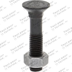 Boulon de charrue M12x60-10.9