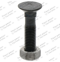 Boulon de charrue M12X55-10.9