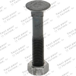 Boulon de charrue M12x70-10.9