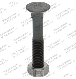 Boulon de charrue M12x70-10.9