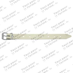 Ceinture plate
