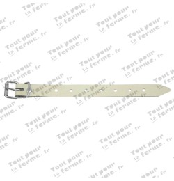 Ceinture plate