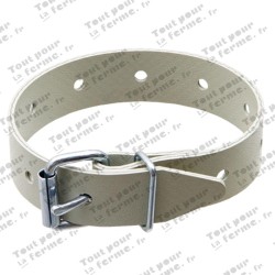 Ceinture plate