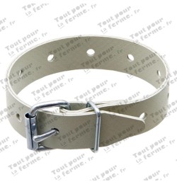 Ceinture plate