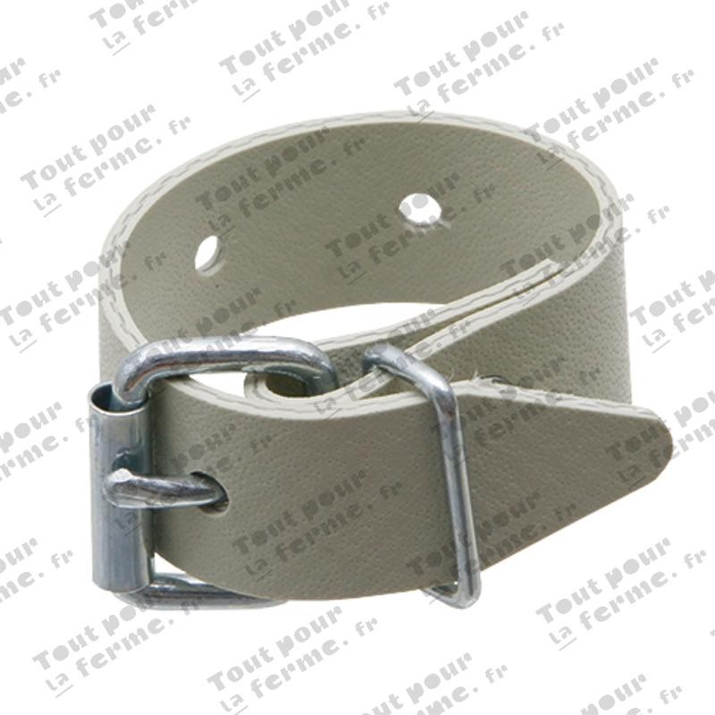 Ceinture plate