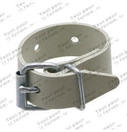 Ceinture plate