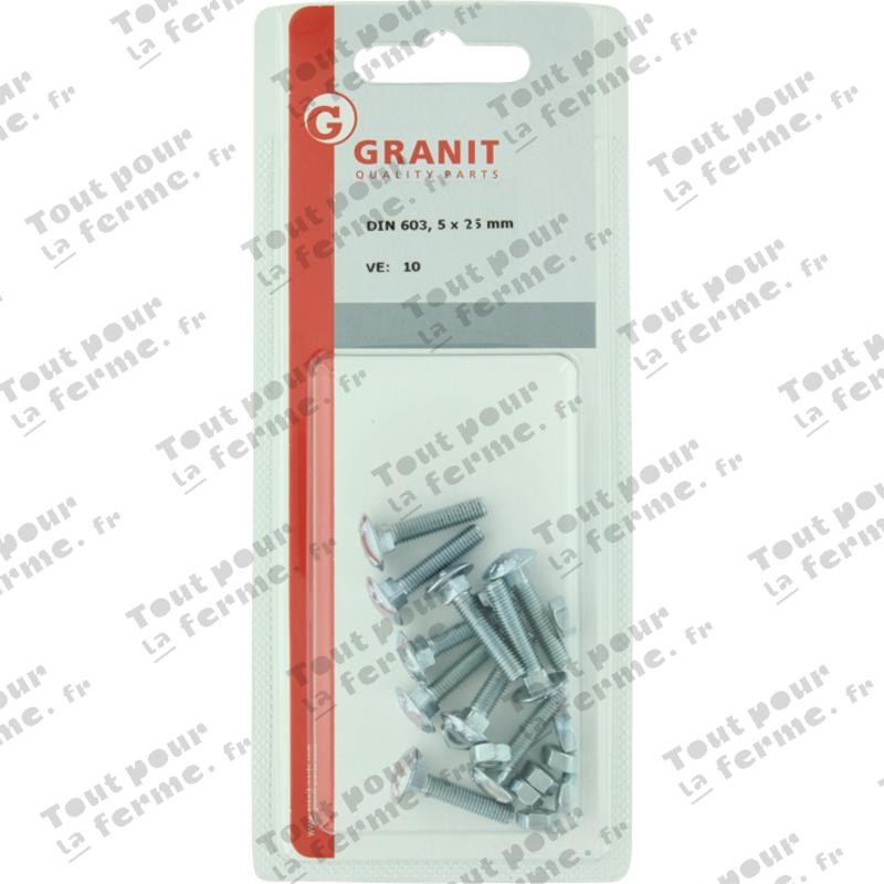 Boulon Japy M6x50 DIN 603