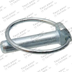 Assortiment de goupilles clips