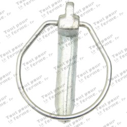 Assortiment de goupilles clips
