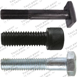 Vis à 6 pans 10.9 DIN960 M20x1,5x155