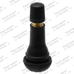 Valve Snap-in